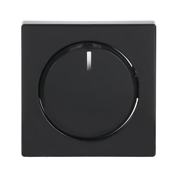 Busch-Jaeger Zentralscheibe anth für Drehdimmer 6540-81-102